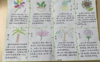 彩色植物知识（彩色植物装饰画图片简单）