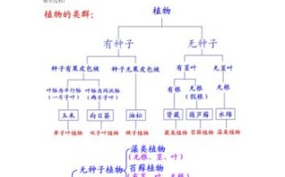 百科知识大百科植物（百科 植物）