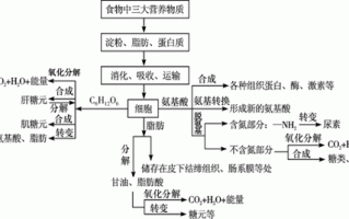 代谢与植物的关系（代谢与植物的关系图）