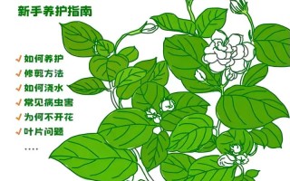 东北绿植盆栽怎么养护好（东北盆栽可以栽什么树）