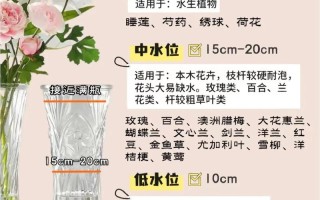 家庭盆栽植物养护知识大全（家庭盆栽种植方法）