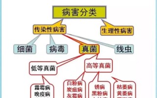 病原物与植物病害的关系（病原物对植物的致病途径有哪些）