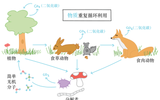 病原真菌与植物的种间关系（比较植物病原真菌,细菌和病毒的区别）