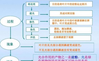 大气水土与植物的关系（大气,水,土地等环境）