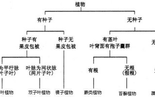 氮与植物的分布关系（氮在植物体内的作用）