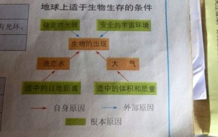 大气环境与植物的关系是（大气与植物之间存在怎样的生态关系）