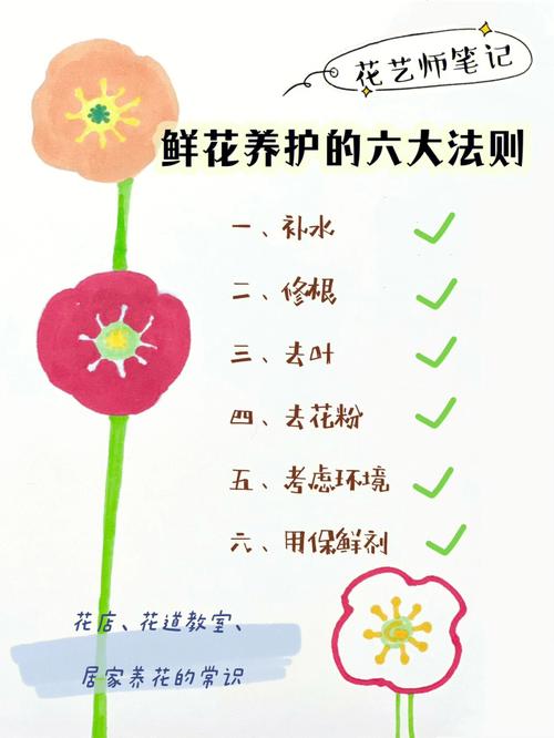 简单的植物养护知识（植物养护常识）-第1张图片-多多自然网