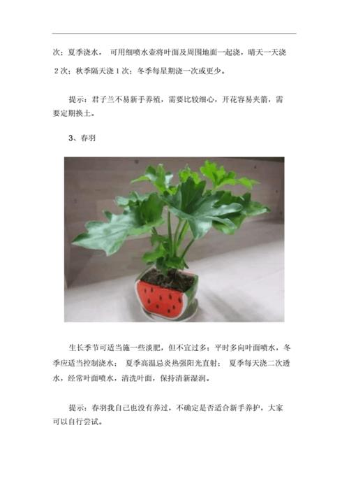 简单的植物养护知识（植物养护常识）-第4张图片-多多自然网