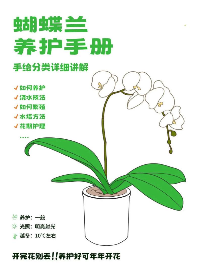 简单的植物养护知识（植物养护常识）-第5张图片-多多自然网