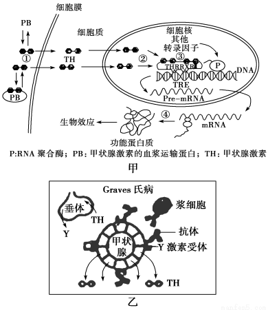 病原菌与植物生长的关系（病原细菌对植物产生的影响有哪几种）-第2张图片-多多自然网