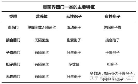 病原菌与植物生长的关系（病原细菌对植物产生的影响有哪几种）-第4张图片-多多自然网