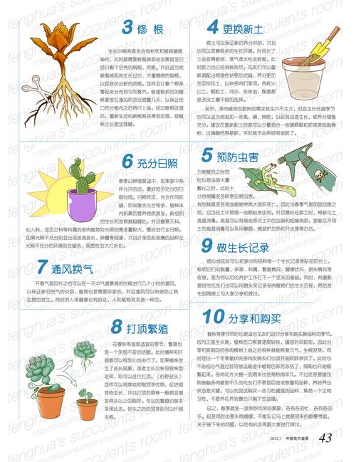 多肉植物养护的知识有哪些（多肉植物的养殖和护理）-第4张图片-多多自然网