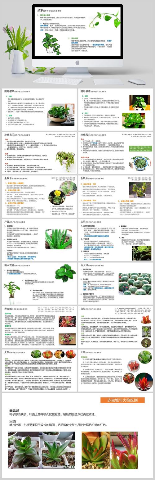 保护绿色植物小知识（保护绿色植物小知识有哪些）-第1张图片-多多自然网