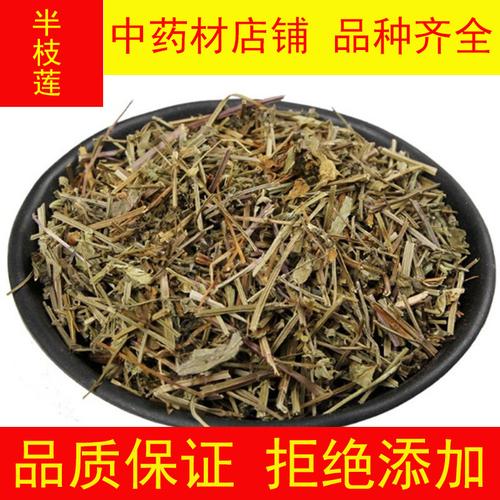 半枝莲植物百科知识（半枝莲植物百科知识大全）-第5张图片-多多自然网