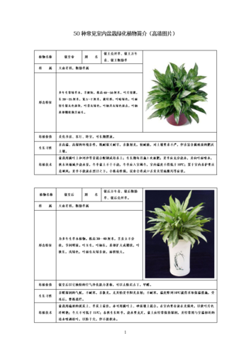 百科知识大全关于植物（植物的百科小常识）-第2张图片-多多自然网