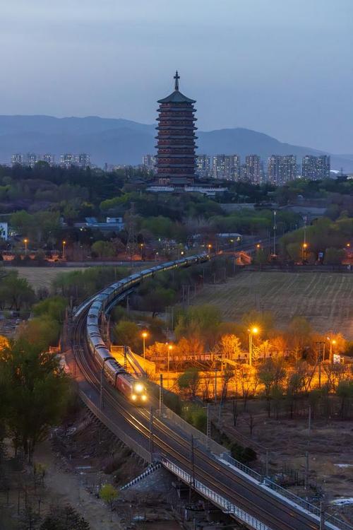 八角枫植物百科知识（八角枫植物百科知识图片）-第1张图片-多多自然网