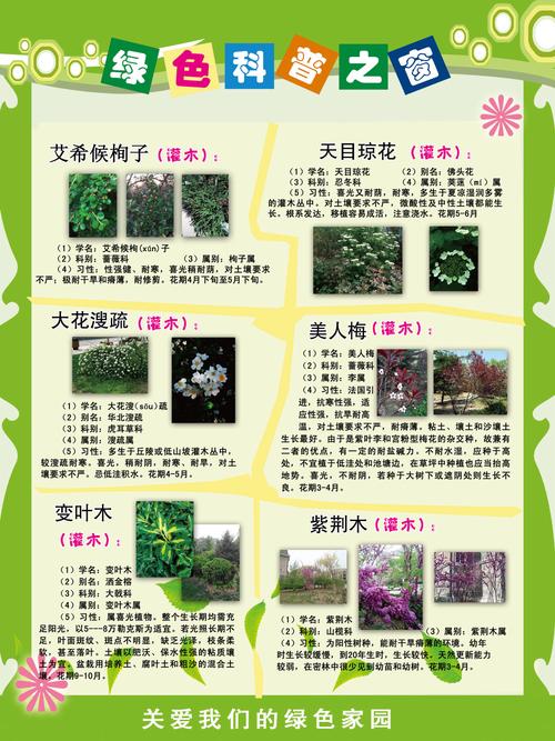 百科小知识植物类（植物相关小百科）-第4张图片-多多自然网