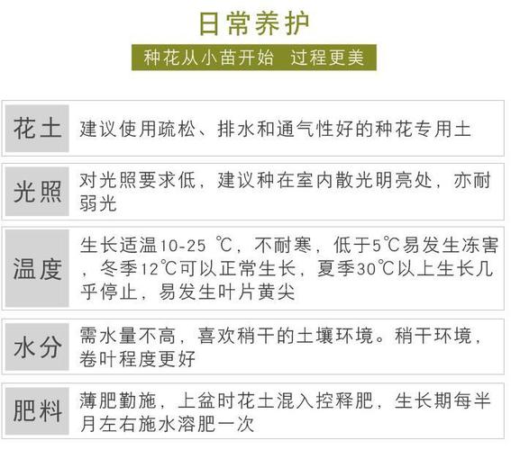 冬天绿色植物养护知识（冬天绿色植物养护知识大全）-第1张图片-多多自然网