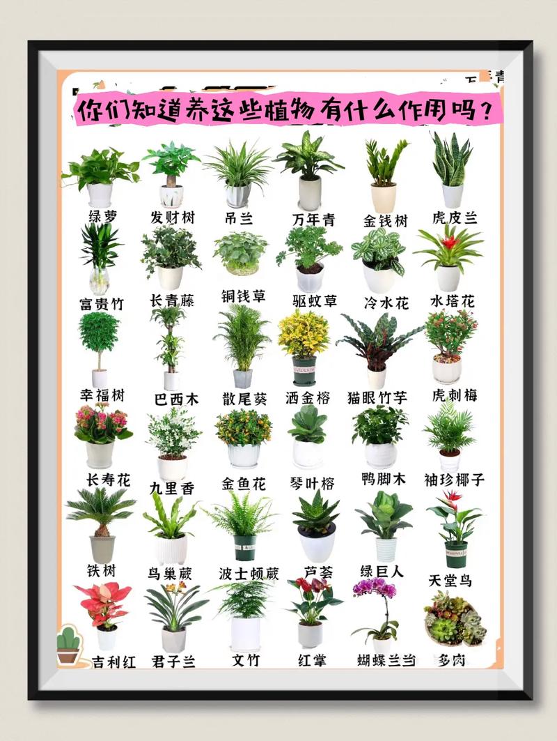 冬天绿色植物养护知识（冬天绿色植物养护知识大全）-第4张图片-多多自然网