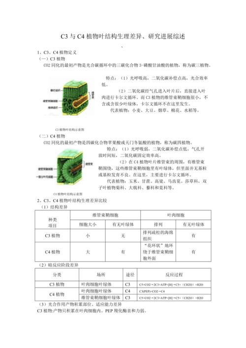 丙烯花与植物的关系是什么（丙烯花卉高清临摹图）-第5张图片-多多自然网