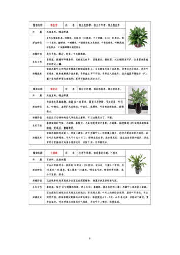 保存植物知识（植物保鲜贮藏的方法）-第1张图片-多多自然网