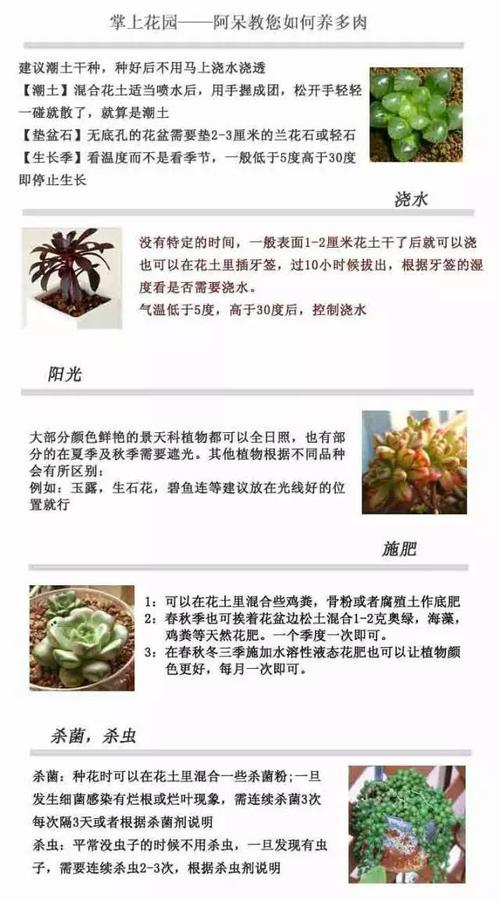 分享多肉植物养护知识（多肉植物养护须知）-第6张图片-多多自然网