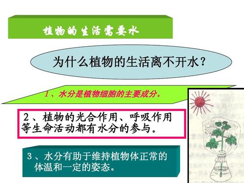 白塘植物与水体的关系（水生植物塘优缺点）-第3张图片-多多自然网