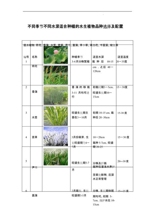 白塘植物与水体的关系（水生植物塘优缺点）-第4张图片-多多自然网