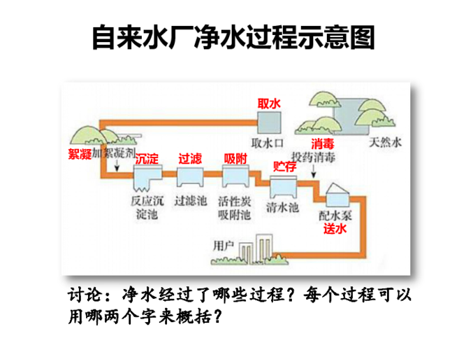 白塘植物与水体的关系（水生植物塘优缺点）-第6张图片-多多自然网