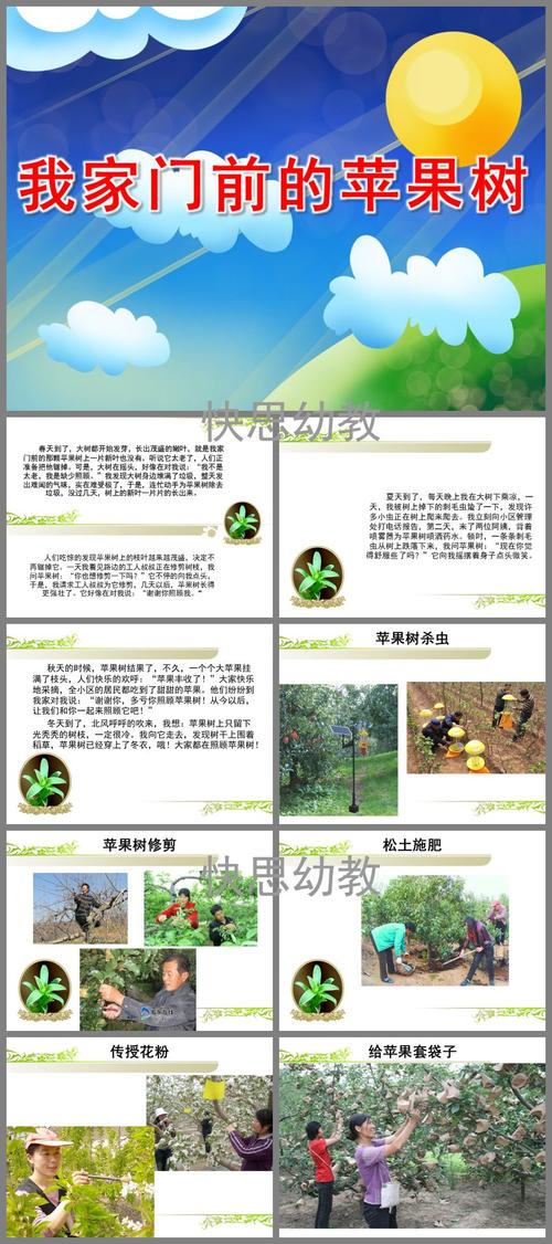 不同植物的叶片与环境的关系（叶片与植物生长环境有什么关系）-第4张图片-多多自然网