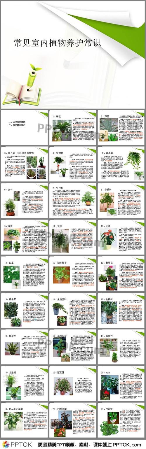 家庭植物养护小知识大全（家庭植物讲解）-第3张图片-多多自然网