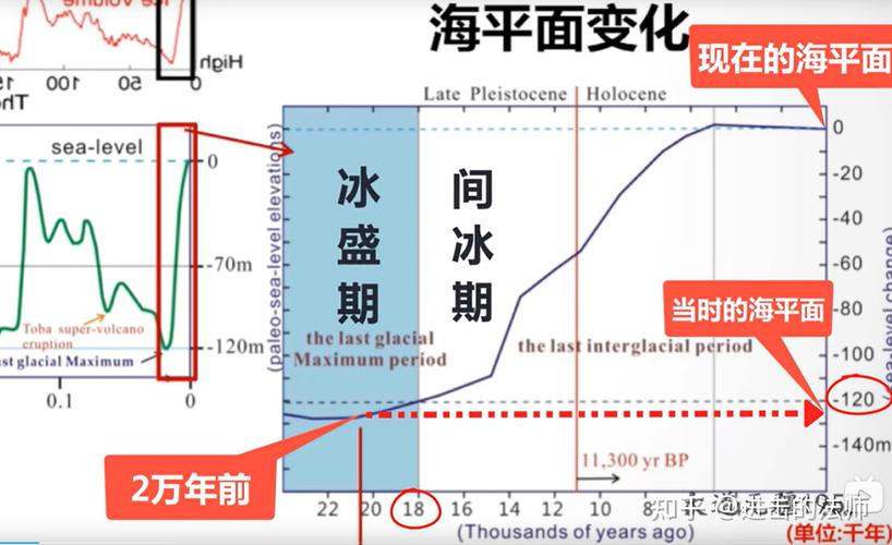 冰河期与植物的关系（与冰河期相对）-第3张图片-多多自然网