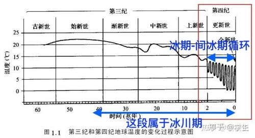 冰河期与植物的关系（与冰河期相对）-第2张图片-多多自然网