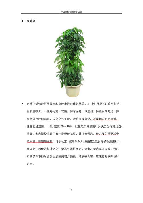 家庭常见植物养护知识（家养植物种类）-第4张图片-多多自然网