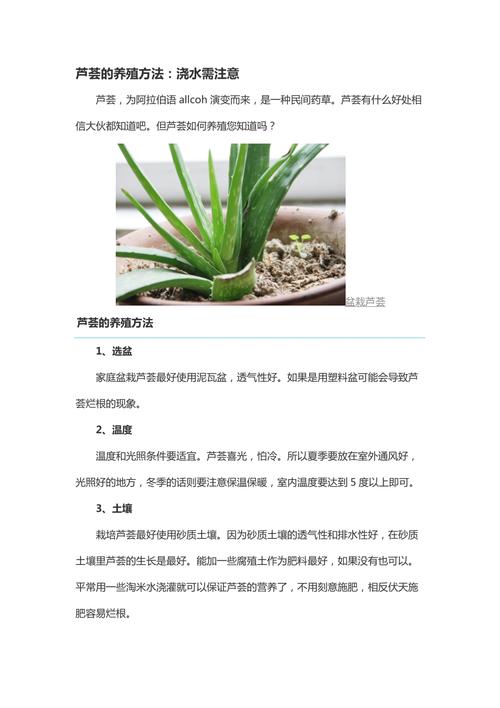 好养的植物养护知识（好养的植物养护知识大全）-第6张图片-多多自然网