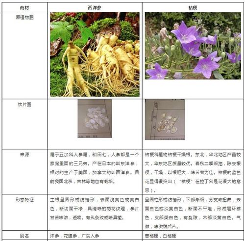 保健与植物的关系（植物保健与和谐植保）-第5张图片-多多自然网