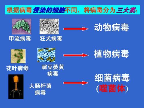 病毒与植物的关系是寄生吗（植物与病毒互作）-第4张图片-多多自然网