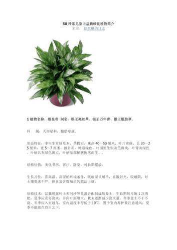 各种植物盆栽养护知识（各种植物盆栽养护知识点）-第2张图片-多多自然网