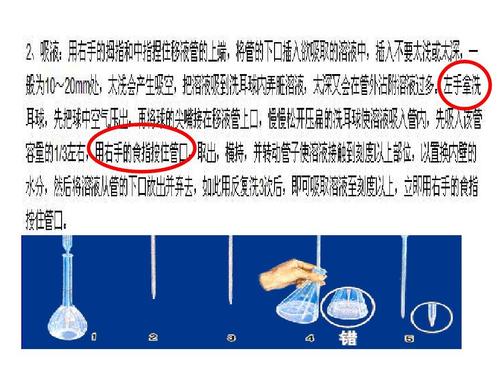 操作台与植物的关系是什么（操作台与植物的关系是什么呢）-第5张图片-多多自然网