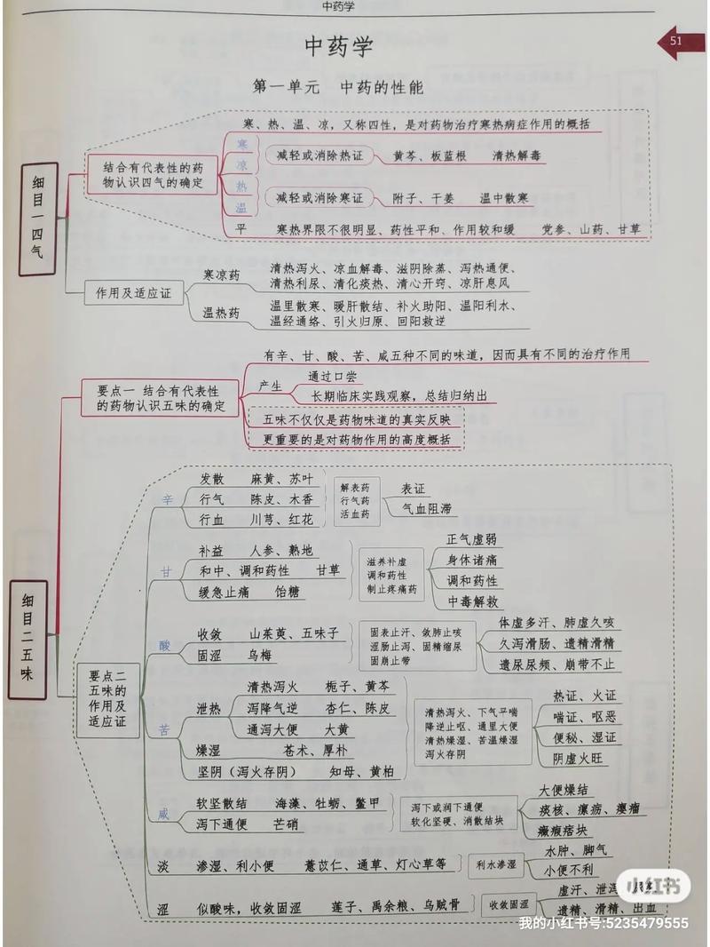 白芷植物百科知识大全（百度百科白芷的功效）-第2张图片-多多自然网