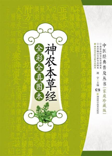 白芷植物百科知识大全（百度百科白芷的功效）-第3张图片-多多自然网