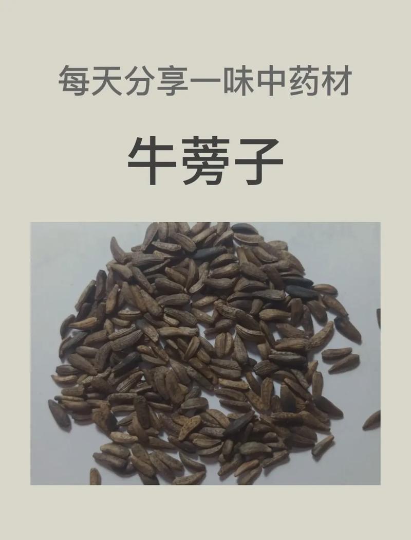 常用草药植物知识百科大全（常用草药植物知识百科大全）-第4张图片-多多自然网