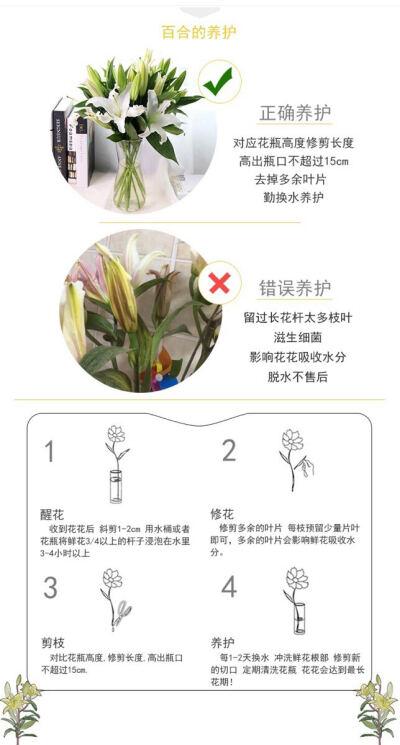 冬季过年绿植养护方法有哪些（冬季绿植怎么养护）-第4张图片-多多自然网