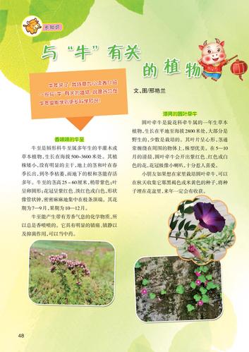 常见景观植物科普知识大全（景观 植物）-第3张图片-多多自然网