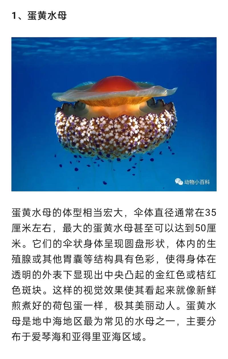 淡水与植物的关系（淡水与植物的关系图）-第3张图片-多多自然网