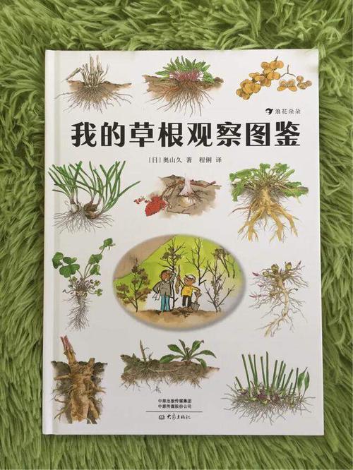 草根植物知识百科大全（草根植物知识百科大全视频）-第4张图片-多多自然网