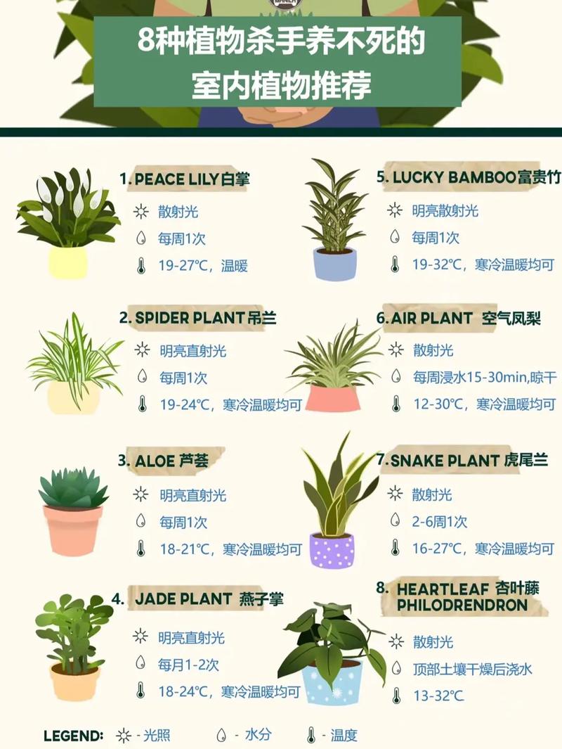 常见植物知识普及（常见植物大全 种类）-第4张图片-多多自然网