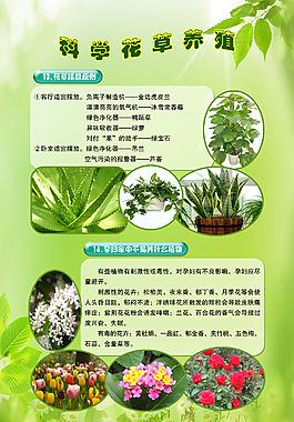 各类植物养护知识大全集（植物护养方法）-第7张图片-多多自然网