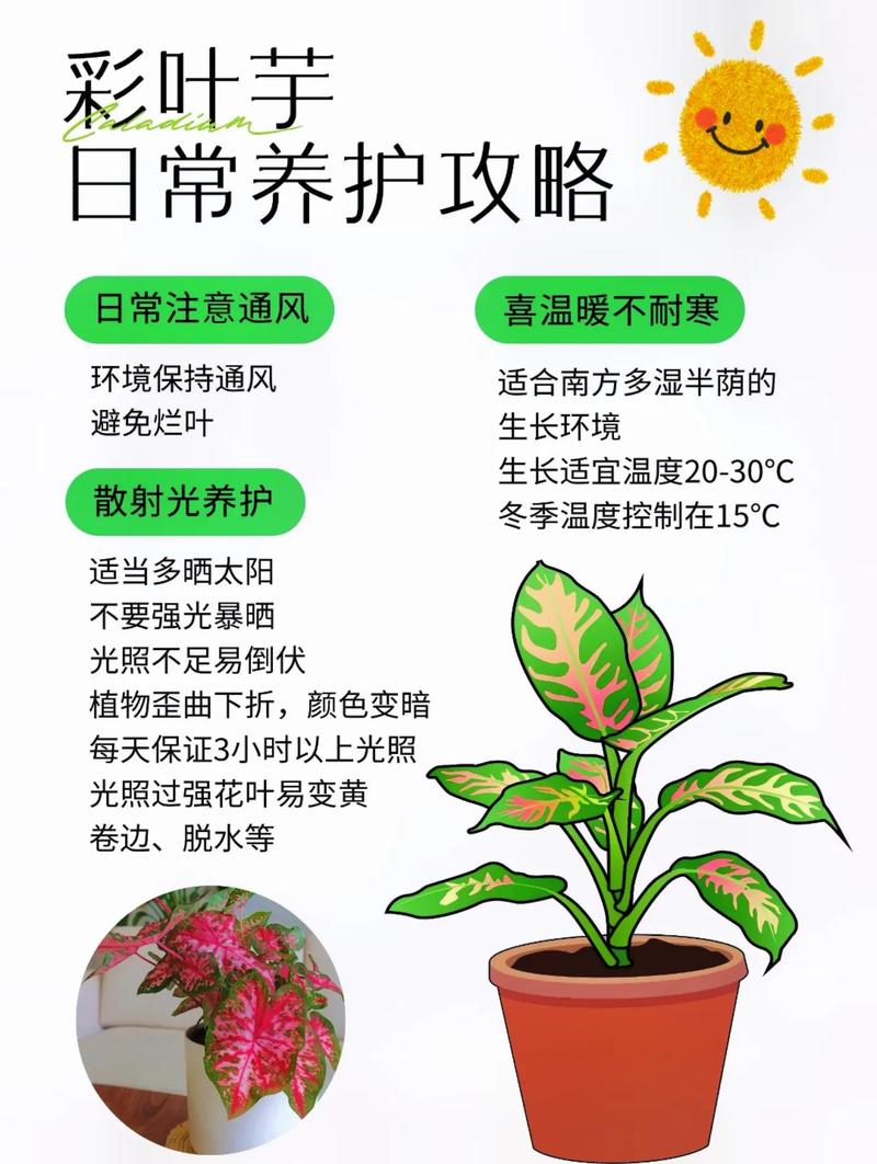 彩叶植物与环境的相互关系（彩叶植物在园林景观中的应用）-第1张图片-多多自然网