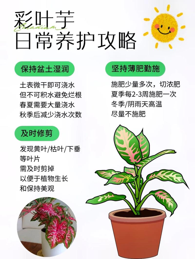 彩叶植物与环境的相互关系（彩叶植物在园林景观中的应用）-第3张图片-多多自然网